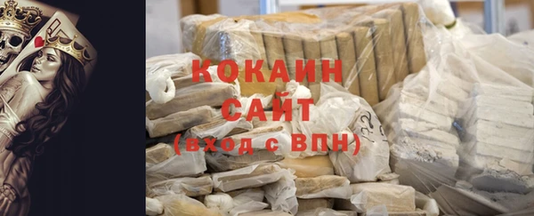 прущие грибы Богородск