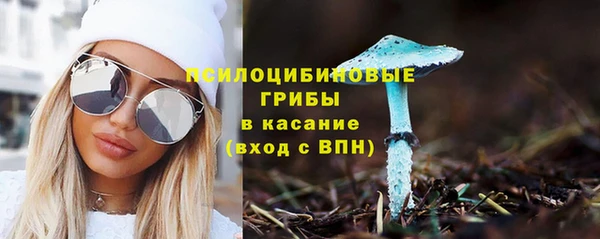 COCAINE Богородицк