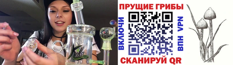 Псилоцибиновые грибы прущие грибы  где купить наркоту  Котельниково 
